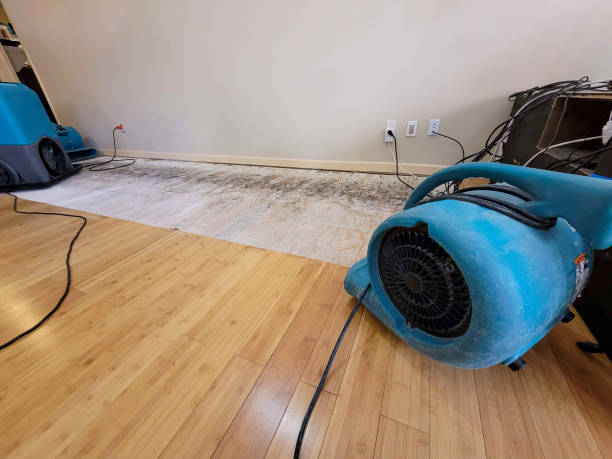 Professional Basement Flood Cleanup technician working in Grant, MN